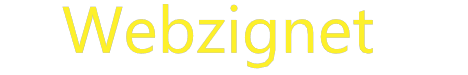 Webzignet - Social Logo